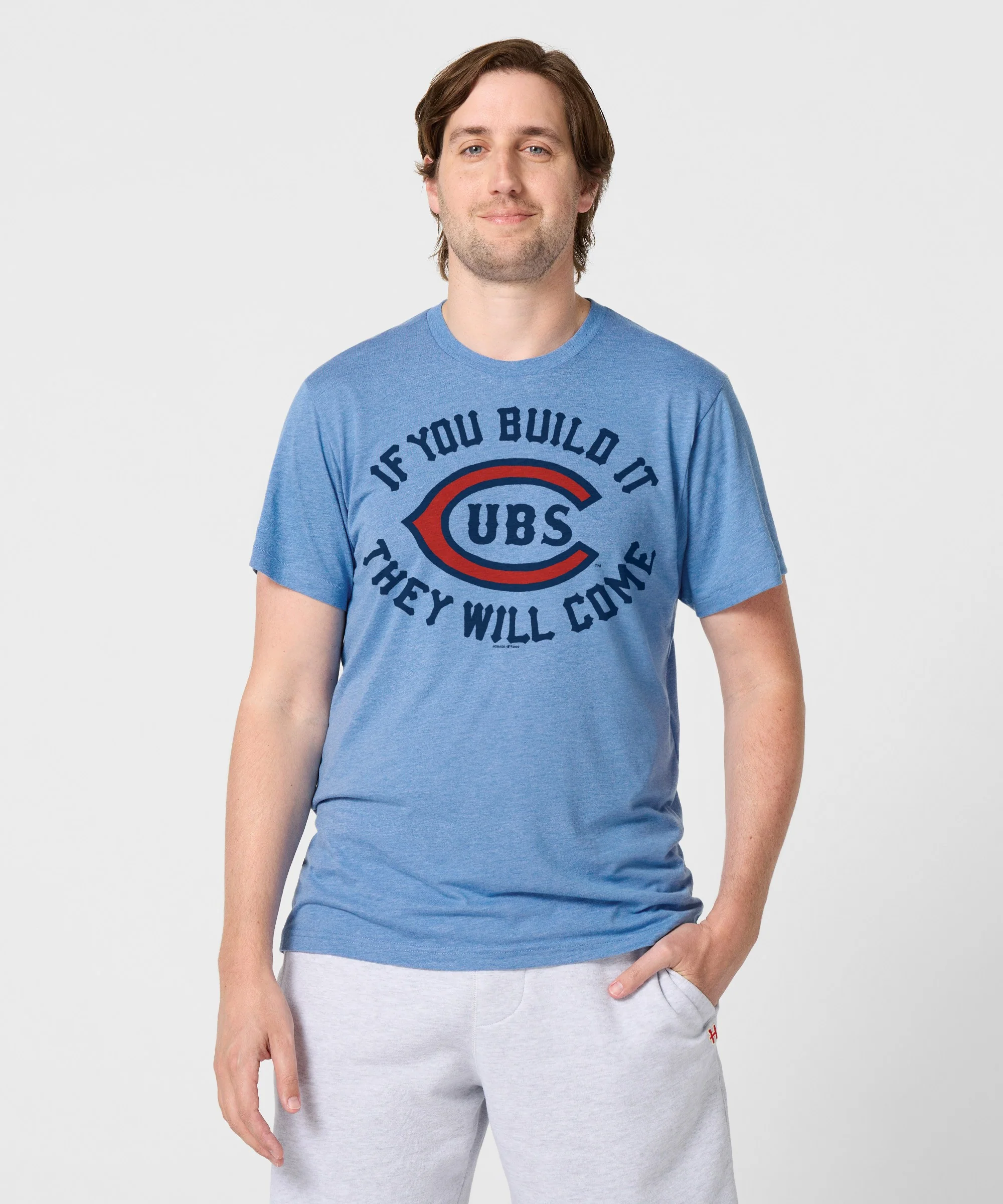 Cubs If You Build It - Image 3