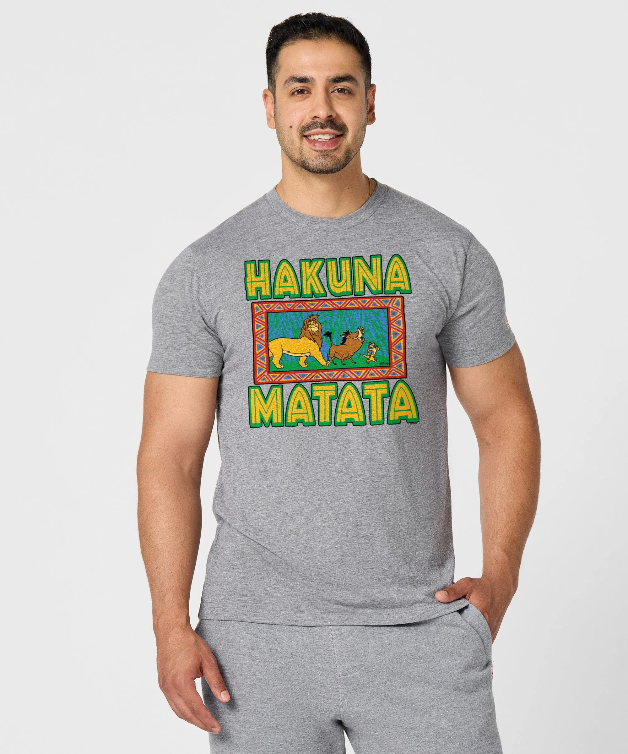 Lion King Hakuna Matata - Image 3